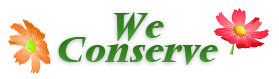 We may not be able to make the world green… but we are trying to do our part. We may not be able to make the world green… but we are trying to do our part.