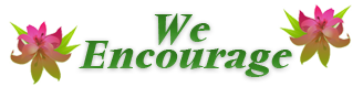 We may not be able to make the world green… but we are trying to do our part. We may not be able to make the world green… but we are trying to do our part.