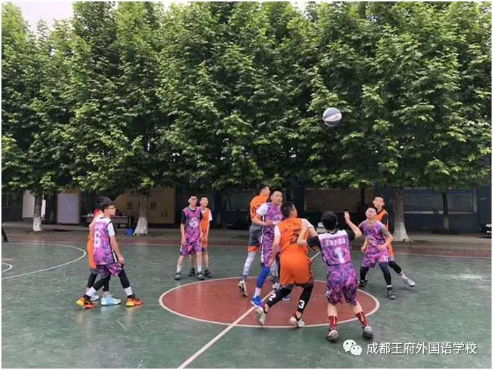 喜报 喜报