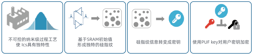 小蜜蜂家族