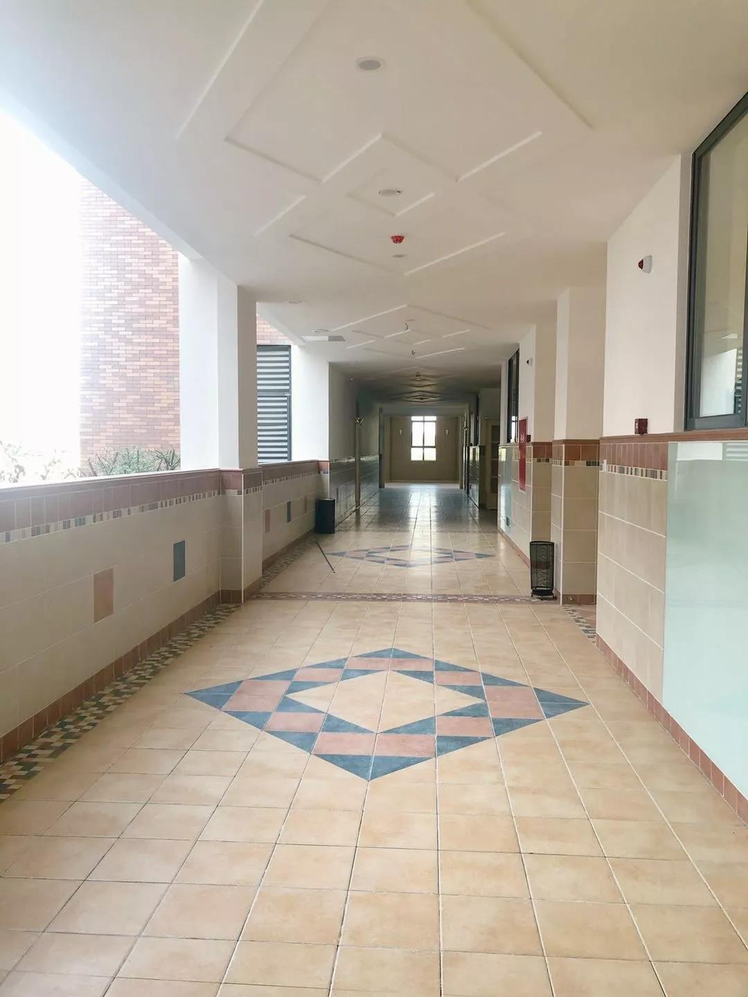 访校前夕,新川外国语小学部MVP攻略! 访校前夕,新川外国语小学部MVP攻略!
