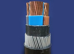 0.6/1kV Insulated PVC Cable