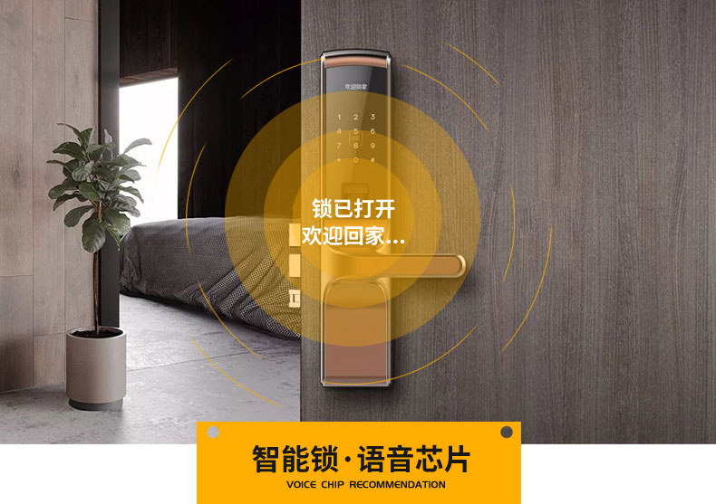 全球75%锁具厂商青睐的语音芯片ic(WT588F02-8S) 全球75%锁具厂商青睐的语音芯片ic(WT588F02-8S)