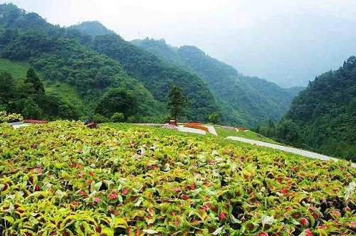 三江历险记(四) 三江历险记(四)