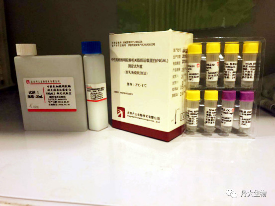 NGAL ，在急性肾损伤早期筛查中扮演的重要角色