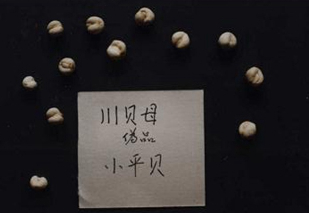 川贝母鉴别 川贝母鉴别