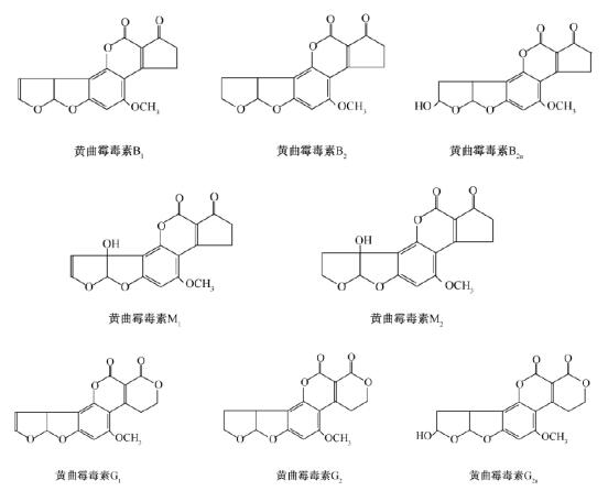 说说黄曲霉毒素的那些事 说说黄曲霉毒素的那些事