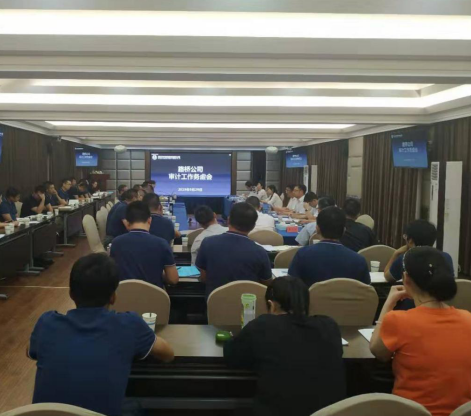 公司召開審計(jì)工作務(wù)虛會(huì) 公司召開審計(jì)工作務(wù)虛會(huì)