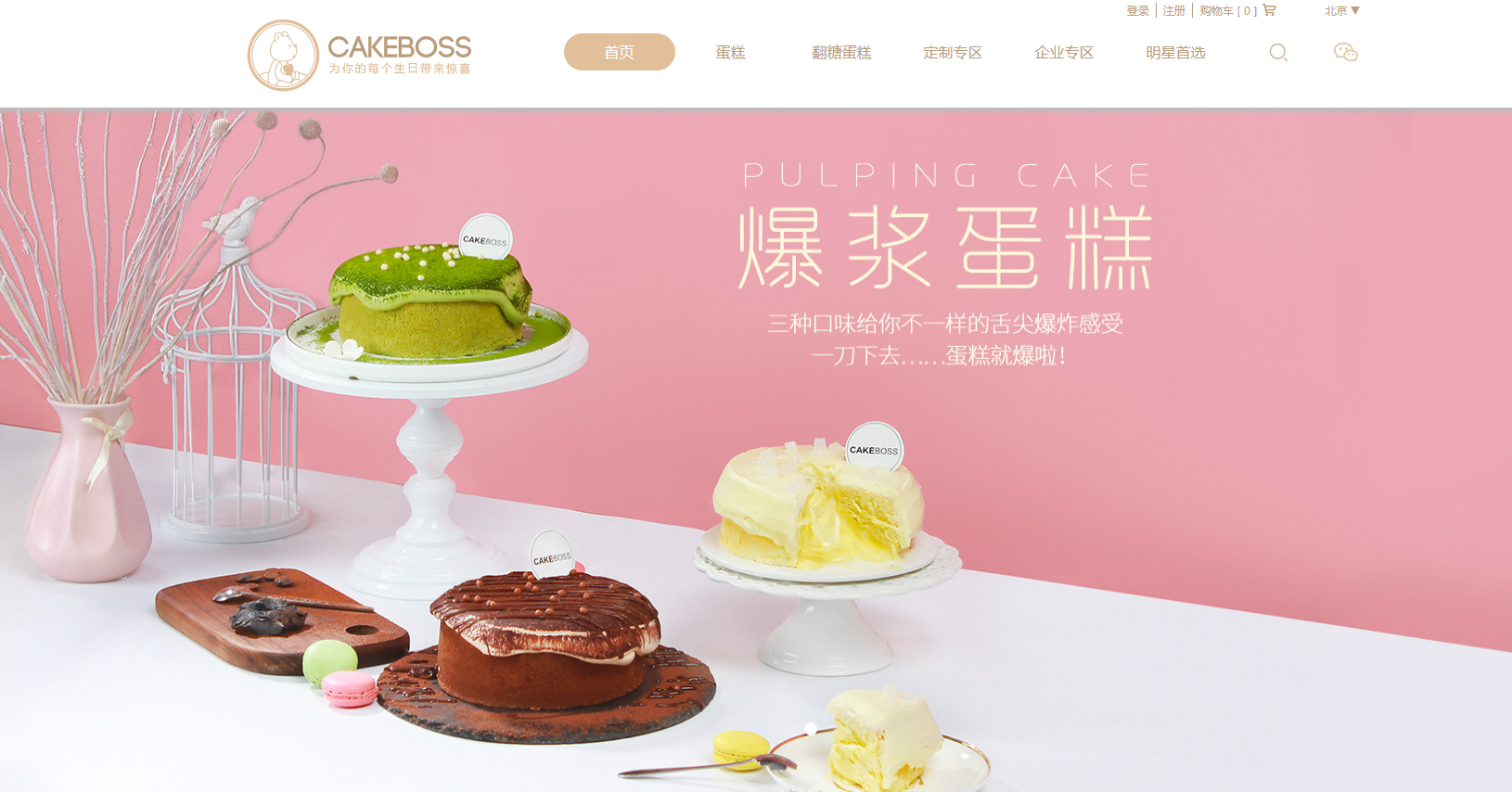 企业云网站成功案例 网站建设服务商 企业云网站成功案例 网站建设服务商