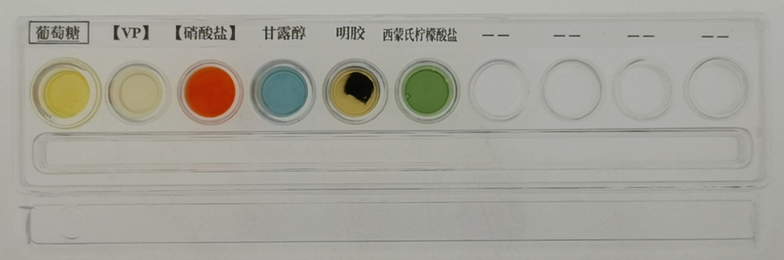 食品檢測中常見的微生物鑒定方法 食品檢測中常見的微生物鑒定方法