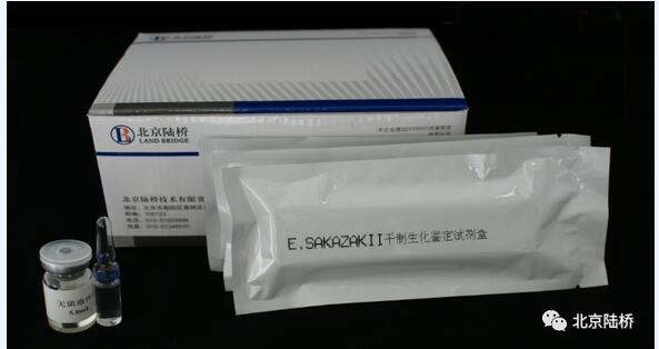 克羅諾桿菌屬檢測之黃色素