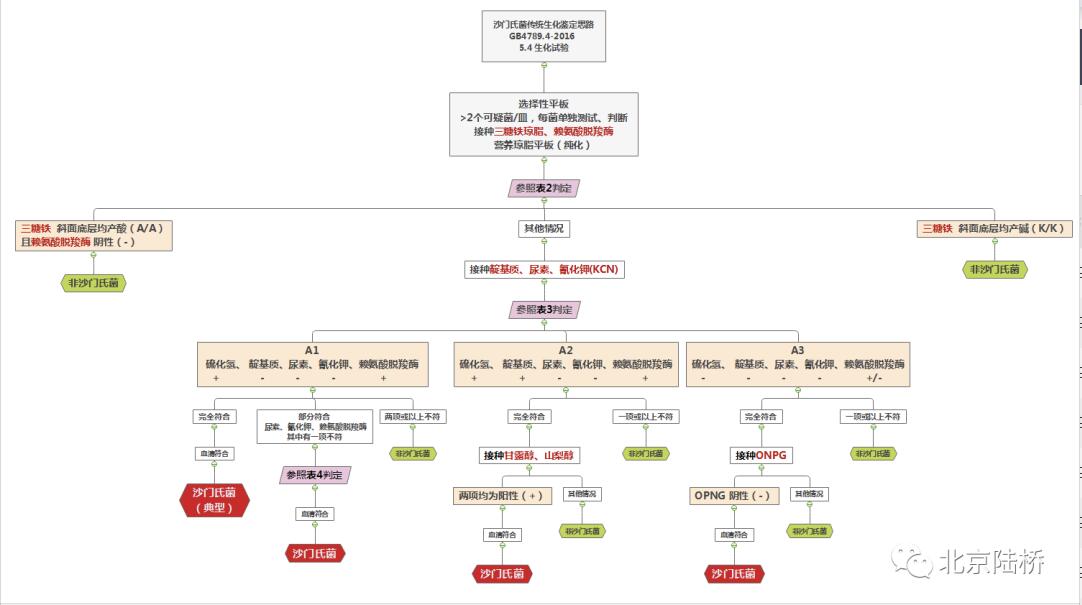 沙門氏菌屬傳統(tǒng)生化鑒定要點解析 沙門氏菌屬傳統(tǒng)生化鑒定要點解析