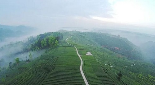 騎行天下 快樂(lè)健康 騎行天下 快樂(lè)健康