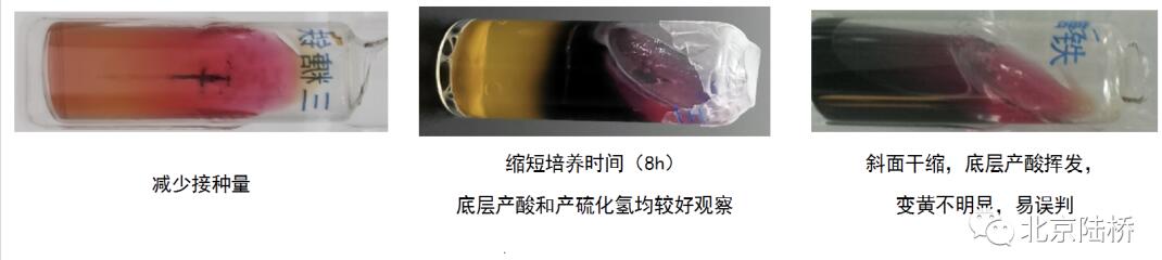沙門氏菌屬傳統(tǒng)生化鑒定要點解析 沙門氏菌屬傳統(tǒng)生化鑒定要點解析