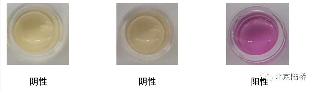 沙門氏菌屬傳統(tǒng)生化鑒定要點解析 沙門氏菌屬傳統(tǒng)生化鑒定要點解析