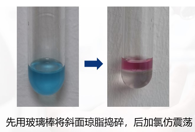 一次性衛(wèi)生用品之綠膿桿菌檢測 一次性衛(wèi)生用品之綠膿桿菌檢測