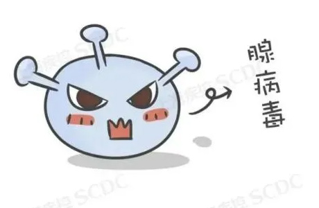 只需一針的疫苗來了！接種年齡未設(shè)上限