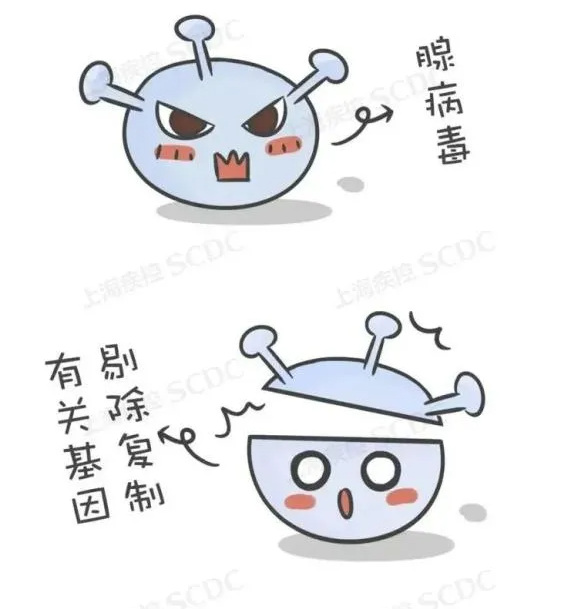 只需一针的疫苗来了!接种年龄未设上限 只需一针的疫苗来了!接种年龄未设上限