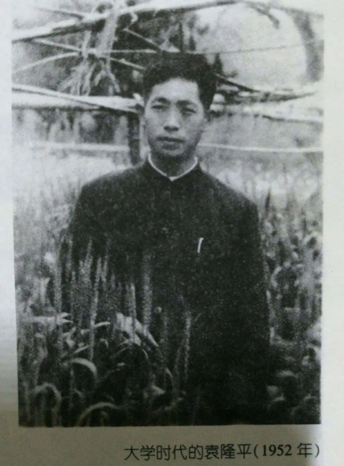 侠之大者,为国为民!今天送别袁隆平、吴孟超两位两位国士! 侠之大者,为国为民!今天送别袁隆平、吴孟超两位两位国士!