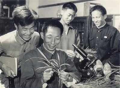 侠之大者,为国为民!今天送别袁隆平、吴孟超两位两位国士! 侠之大者,为国为民!今天送别袁隆平、吴孟超两位两位国士!