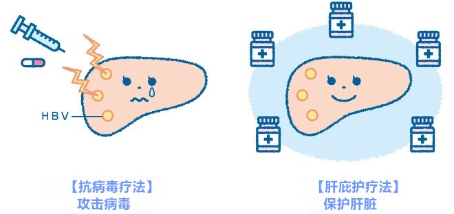 乙肝的治疗方法 乙肝的治疗方法