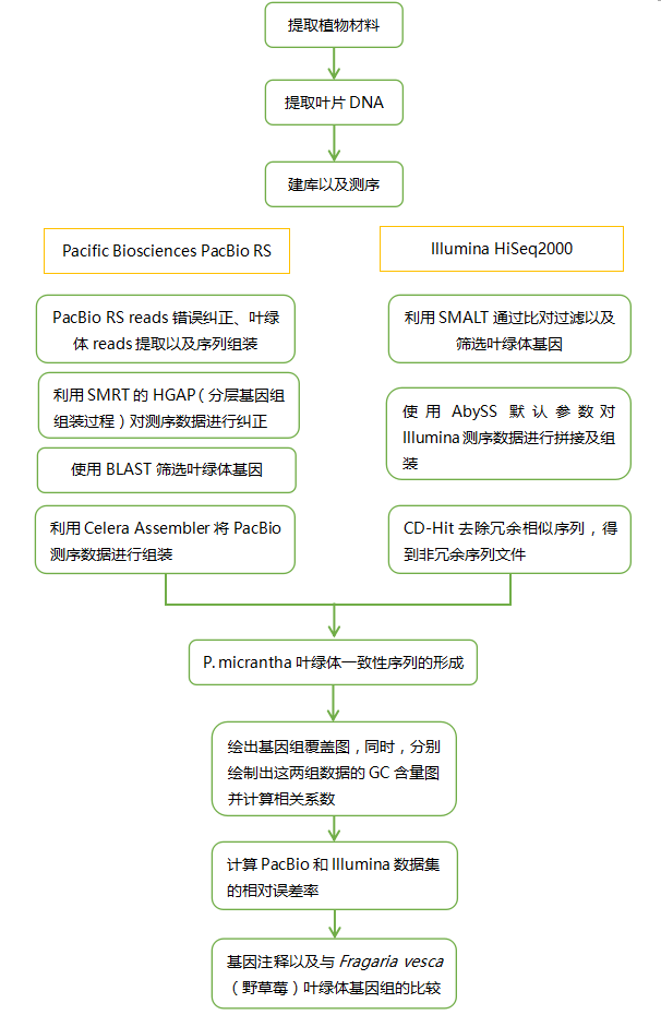 通过对叶绿体基因组的测序及从头组装对PacBio RS测序平台进行评估 通过对叶绿体基因组的测序及从头组装对PacBio RS测序平台进行评估