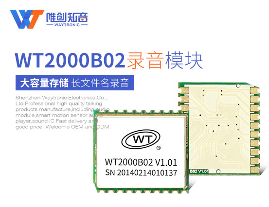 WT2000B02录音模块
