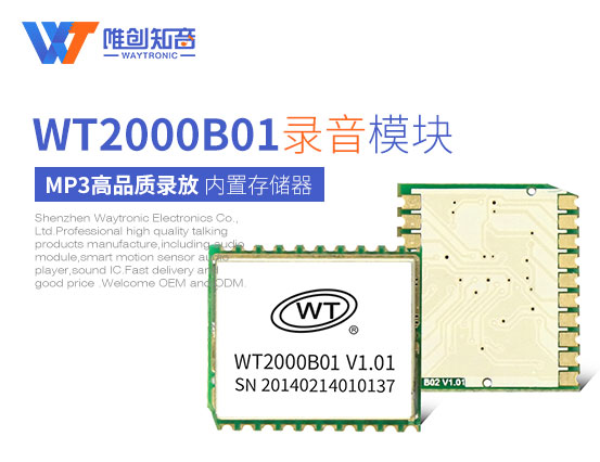 WT2000B01录音模块