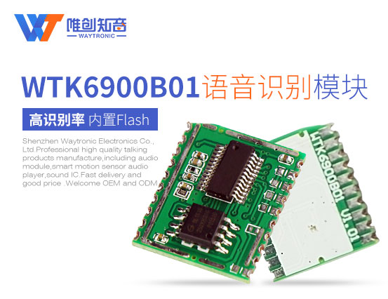 WTK6900B01语音识别模块