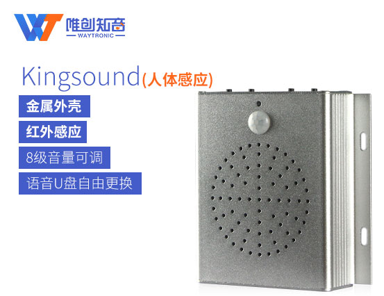 KingSound