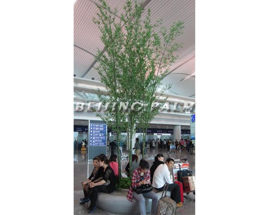 重庆江北机场装饰植物工程