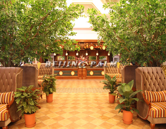 No.6 Hot Spring--another masterpiece of Oriental Hawaii No.6 Hot Spring--another masterpiece of Oriental Hawaii