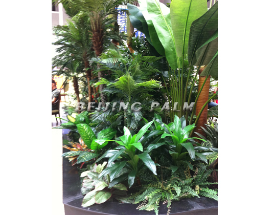 Our company completed the Beijing South Railway Station landscape simulation plant decoration works. Our company completed the Beijing South Railway Station landscape simulation plant decoration works.
