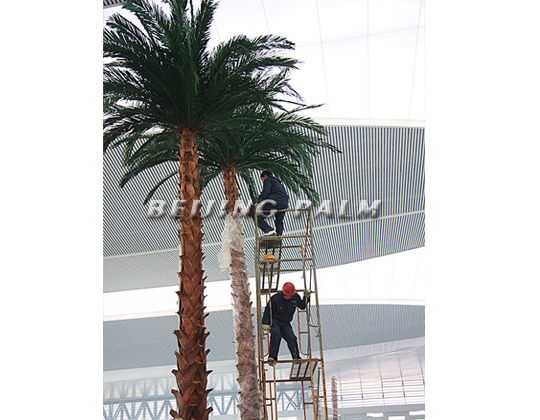 The Chengdu East Station project finished perfectly at 2010