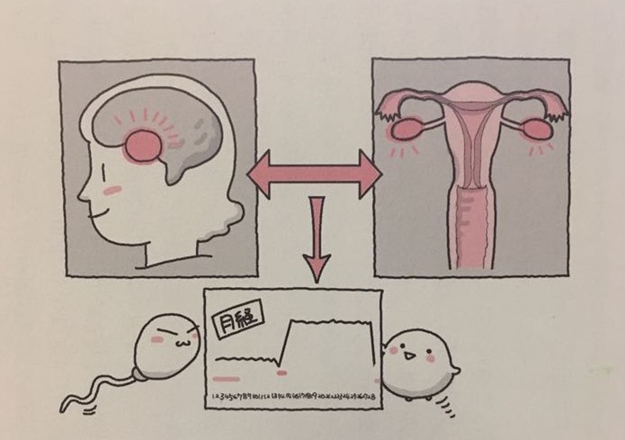 你真的了解自己的身体吗——女性篇 你真的了解自己的身体吗——女性篇