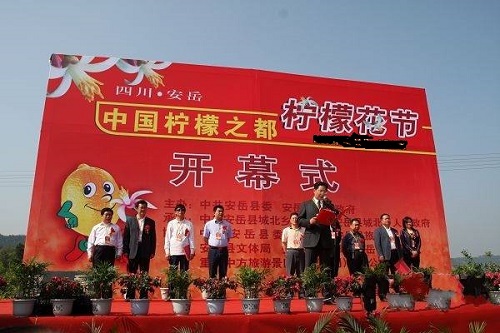 苕乡变柠都 苕乡变柠都