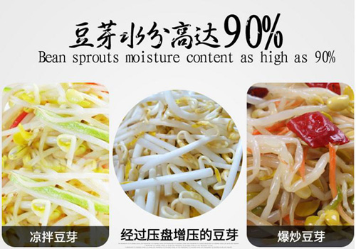豆芽机语音IC,豆芽机语音提示芯片,豆芽机声音方案