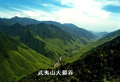 武夷红茶的前世今生(一) 武夷红茶的前世今生(一)