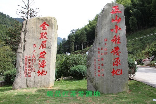 武夷红茶的前世今生(一) 武夷红茶的前世今生(一)