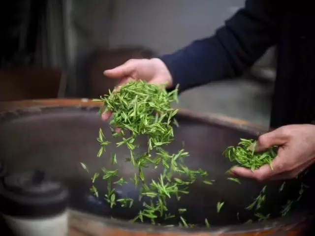 春风十里，不如品你