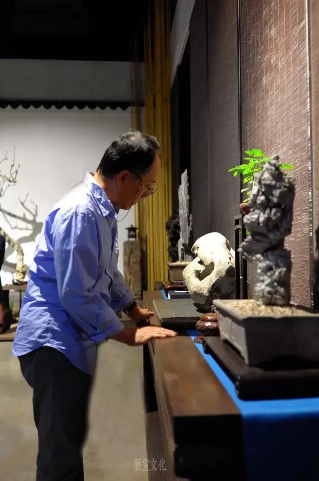 『心随万象』二〇一六第三届文人传统赏石秋展 | 心随 『心随万象』二〇一六第三届文人传统赏石秋展 | 心随