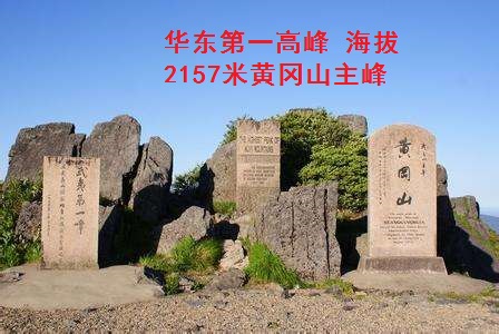 武夷红茶的前世今生(一) 武夷红茶的前世今生(一)