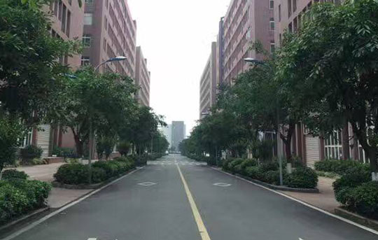 G区