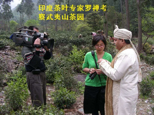 武夷红茶的前世今生(四) 武夷红茶的前世今生(四)