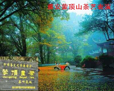 武夷紅茶的前世今生(五) 武夷紅茶的前世今生(五)