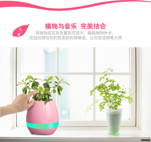 创意智能音乐花盆PCB方案,触摸音乐花盆IC方案推荐 创意智能音乐花盆PCB方案,触摸音乐花盆IC方案推荐