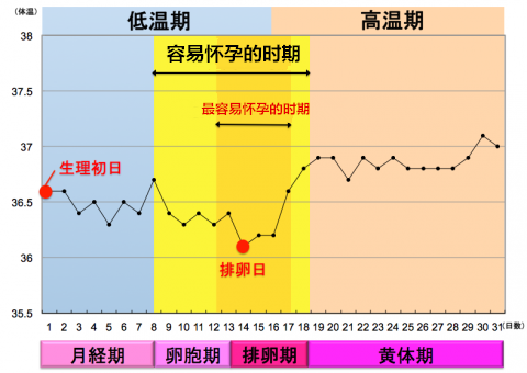 日本女性备孕时做的第一件事竟然是... 日本女性备孕时做的第一件事竟然是...