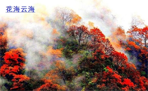 光雾山——天下红叶第一山 光雾山——天下红叶第一山