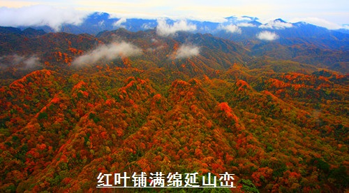 光雾山——天下红叶第一山 光雾山——天下红叶第一山