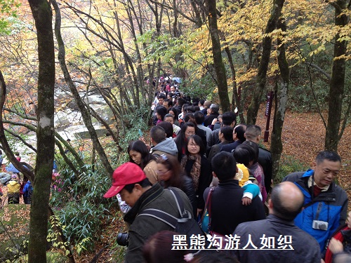 光雾山——天下红叶第一山 光雾山——天下红叶第一山